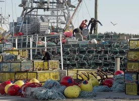 Nova Scotia invests in climate change adaptations for its seafood industry