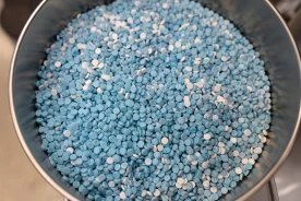 Health Canada issues Interpol operation alert over fake drugs sold online
