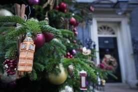 Christmas trees: Knowing the environmental impact of going real vs. artificial