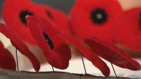 What’s open and what’s closed in Winnipeg on Remembrance Day