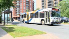 Halifax Transit pulls dozens of buses from road after one loses tire