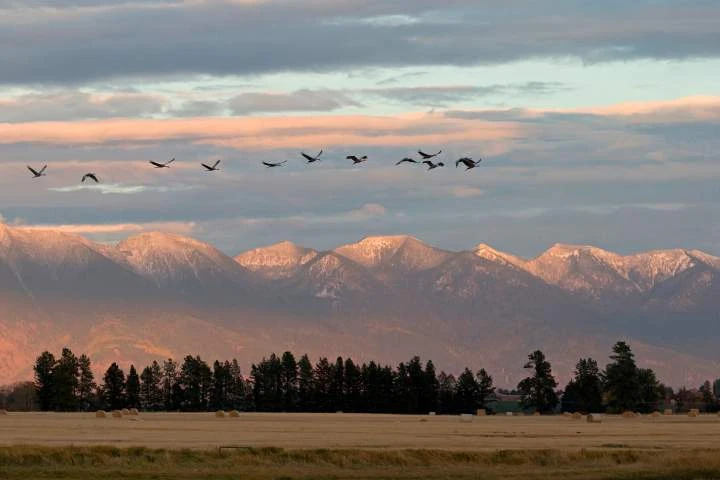 Montana city launches campaign to woo back Canadian visitors: ‘We miss you’