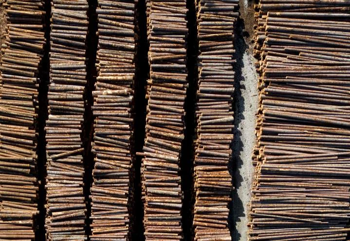 B.C., feds to hold forestry summit amid U.S. tariff impacts