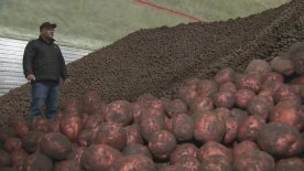 Trump tariffs affect ag industry, including exempt products: CFA