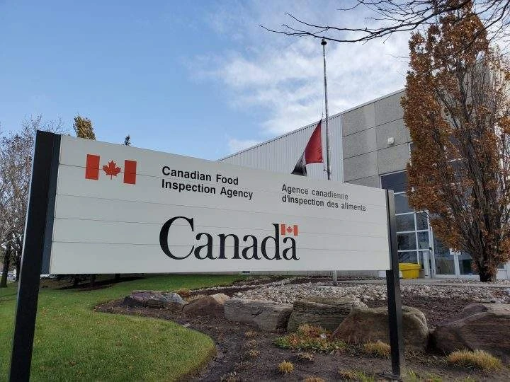 Egg products in Ontario, Quebec recalled due to salmonella contamination