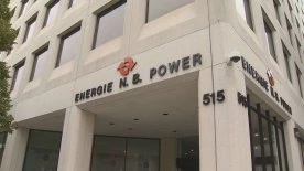 N.B. announces 3-member panel who will review future of debt-laden power utility