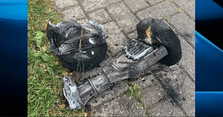 London, Ont. family, lizard, rabbit, 3 dogs safe after hoverboard fire: chief