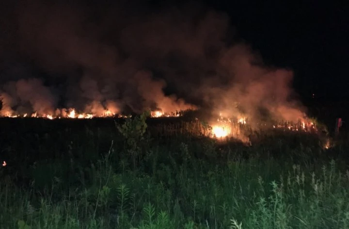 Crews battle large brush fire south of London, Ont.