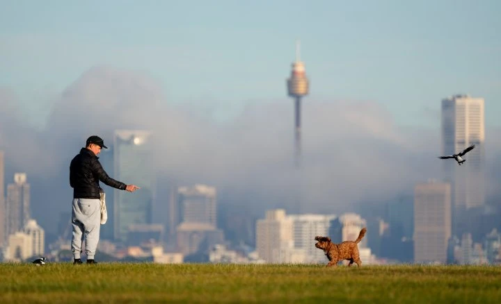 Sydney fights to contain COVID-19 Delta variant spread as minister tests positive