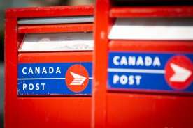 No mail, consider e-transfer: N.B. charities scramble amid Canada Post strike