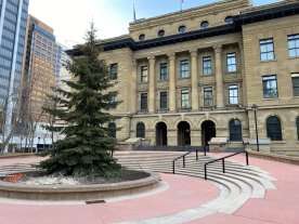 Family spruce to be this year’s McDougall Centre Christmas tree