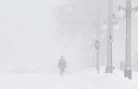 Storm buries parts of Ontario under nearly a metre of snow, thousands without power