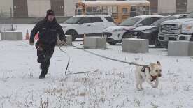 What does Scooby do? Winnipeg’s fire dog lends a helping paw