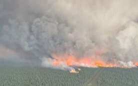 As Alberta prepares for wildfire fight, union pushes recruitment efforts