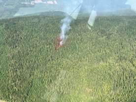 Lower Blueberry Creek blaze in Shuswap considered held: B.C. Wildfire