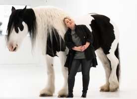 ‘It’s not Canadian’: Jann Arden ramps up campaign against live horse exports for meat