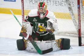 Halifax Mooseheads deal star goalie Mathis Rousseau to Moncton Wildcats