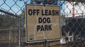 Residents frustrated over lack of seating at West Kelowna dog parks