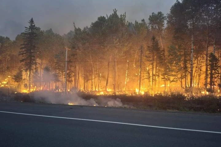 Evacuation advisory issued for some in N.B. due to ‘out of control’ wildfire
