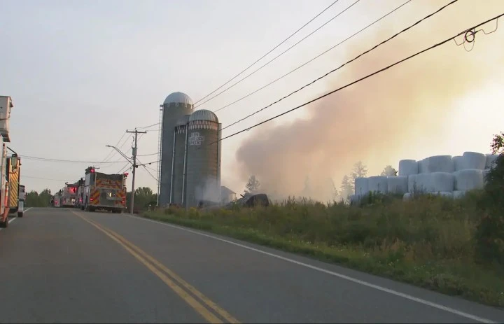 Barn destroyed, nearly 80 cows dead after fire at Rimouski, Que. farm