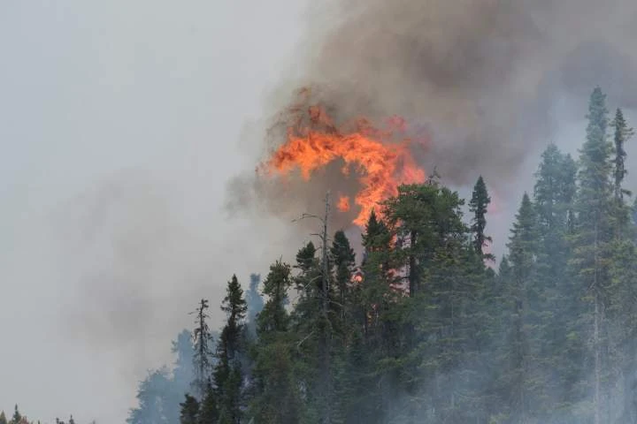 New Brunswick wildfires: Miramichi blaze remains out of control as others appear