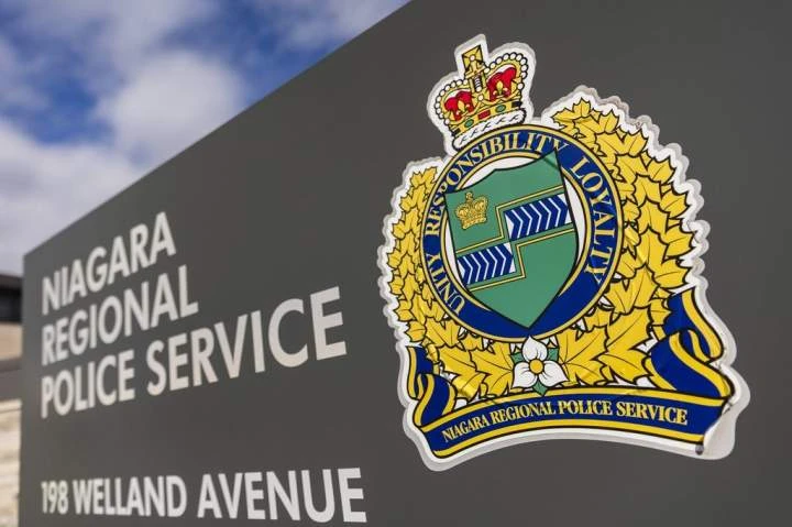 8 horses found stabbed on Ontario farm in ‘disturbing act of animal cruelty’