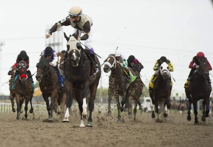 Ontario Lottery and Gaming Corporation players can now bet on live horse races