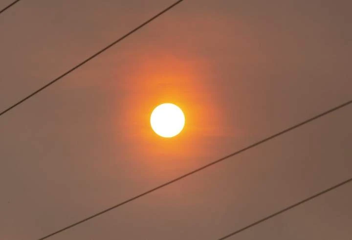 Newfoundland’s largest wildfire gains ground amid dry, windy conditions