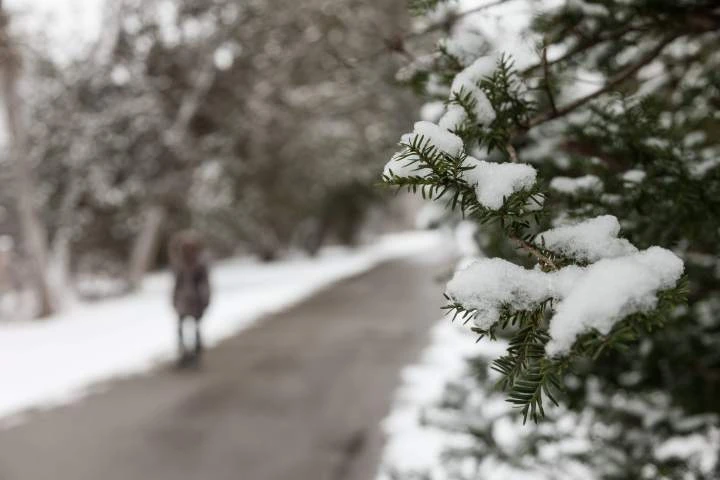 Ontario city overspent dealing with 2nd-worst winter in 30 years: report