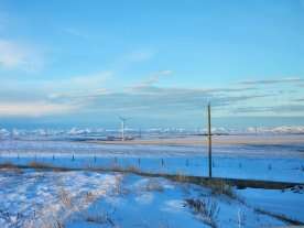 Proposed solar project around Fort Macleod sparking concern