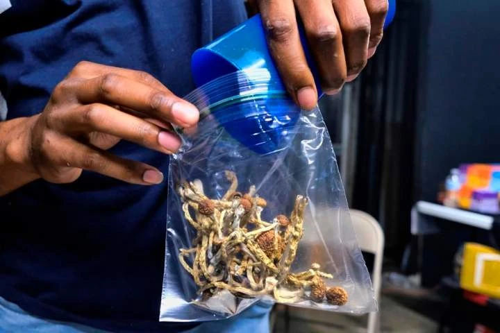 McGill-led study suggests psychedelics could change depression treatment