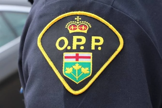 OPP investigate fatal single-vehicle crash in Tyendinaga Township