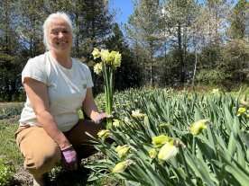 Quebec flower growers want residents to buy local on Mother’s Day