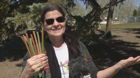 U of R research engineer creates innovative alternative to paper straws