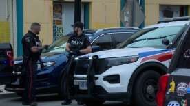 Suspect in custody following downtown shoplifting incident: Kingston police