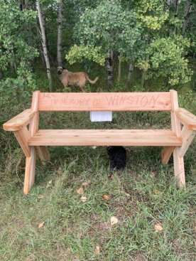 Oakridge residents say bench replacement ‘ripped up the spirit of Calgary’