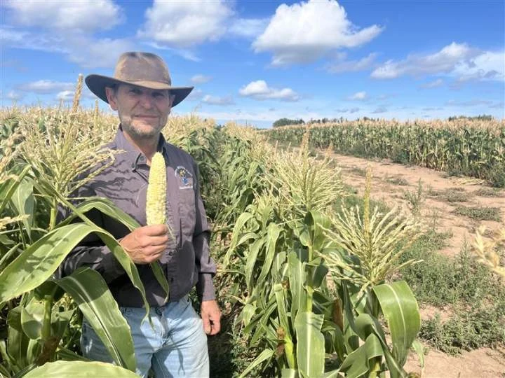 ‘Used up every drop of water’: Drought conditions wreak havoc on N.B. farmers’ crops