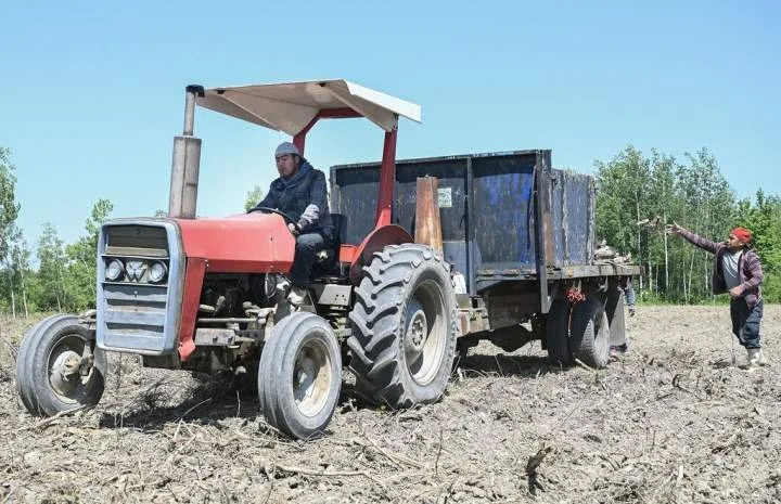 Canadian Chamber of Commerce says immigration system is ‘facing a crisis’