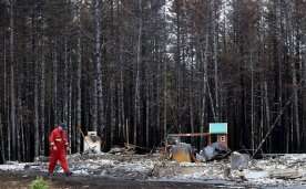 Insurance claim tally for last year’s floods, wildfires in Nova Scotia: $490 million