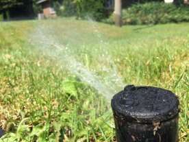 Central Okanagan regional district issues Stage 3 outdoor watering restrictions