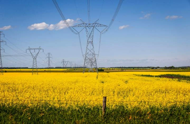 China’s new tariff on Canadian canola takes effect as farmers urge action
