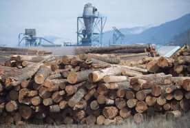 U.S. plan to nearly triple softwood lumber duties a ‘massive threat’: Eby