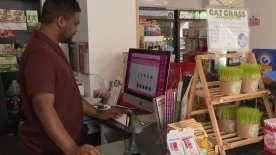 ‘Trying to make ends meet’: Halifax store owner says construction is devastating business