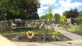 Memorial for fatal Kelowna crane collapse unveiled on anniversary