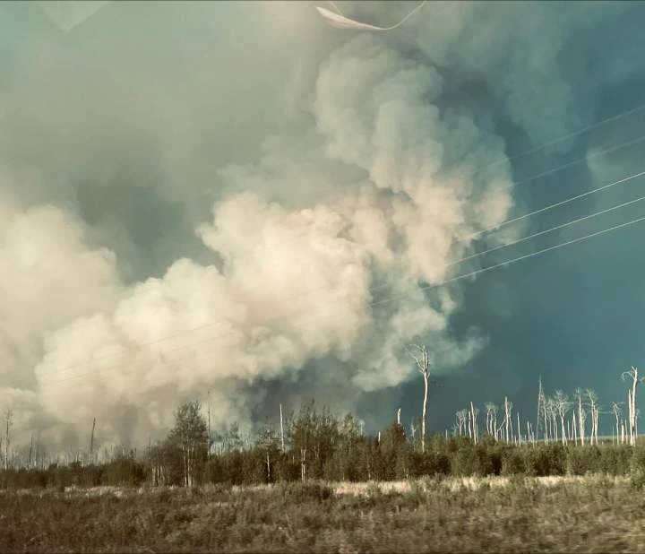 Métis Nation-Saskatchewan declares wildfire state of emergency
