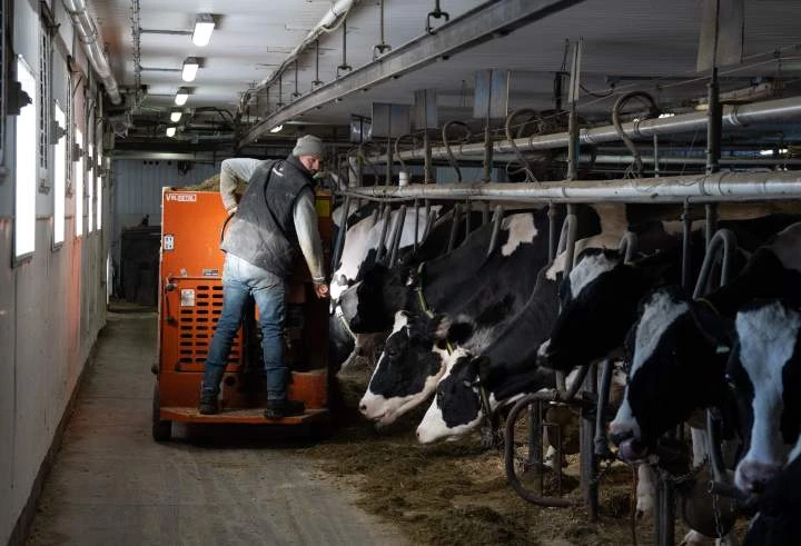 Why Canada’s supply management is a sticking point for Trump in trade talks