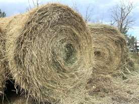 Man faces arson charges over hay bale and grass fires surrounding Saskatchewan town