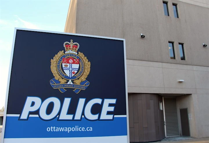 String of dead cats most likely killed by coyotes, say Ottawa police