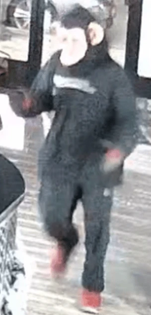 Suspect donning monkey mask among several sought in Niagara thefts