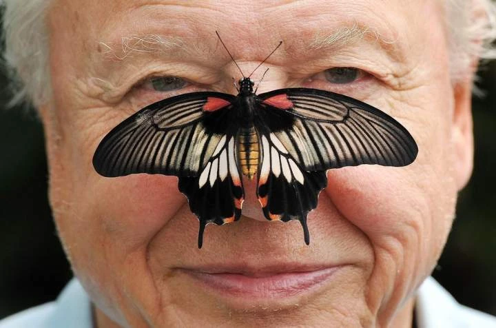 David Attenborough, natural historian and renowned broadcaster, turns 100